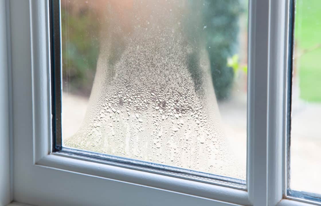 umidità finestre