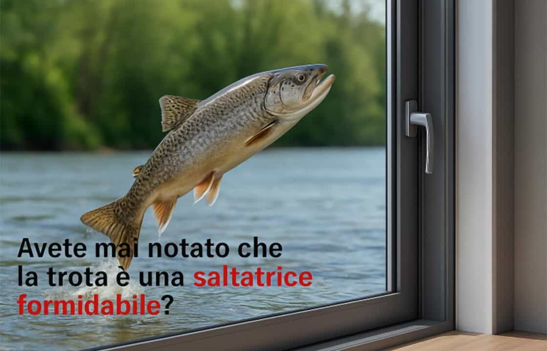 Trota che salta fuori dall’acqua vicino a una finestra in alluminio con vista su un fiume e foresta