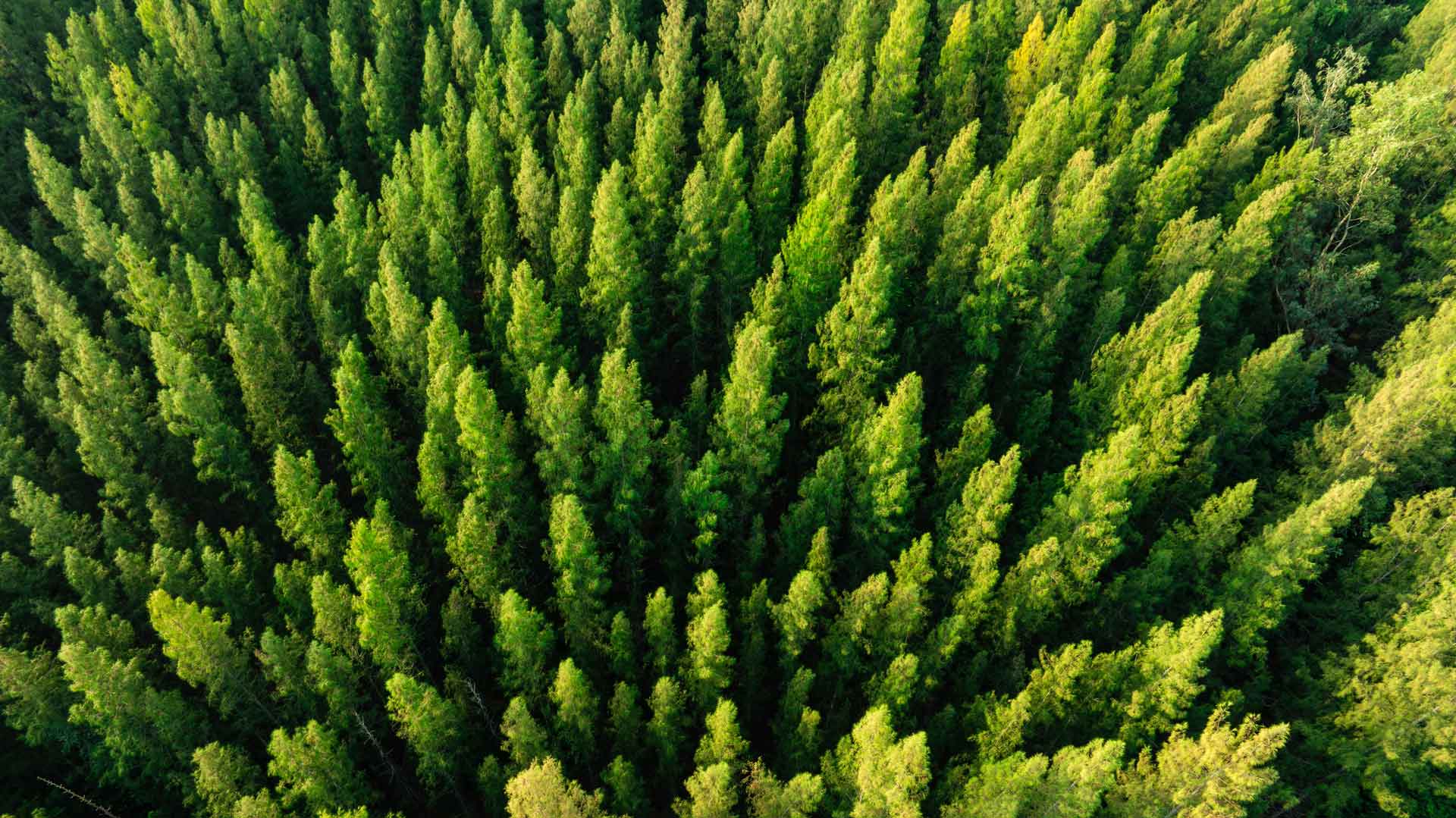 Integrazione tra natura e architettura con infissi Schulz